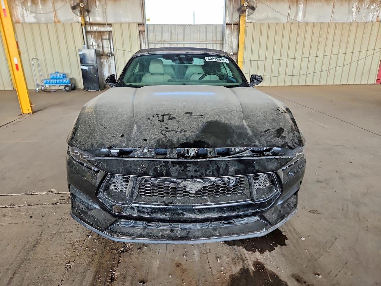 2024 Ford Mustang - Фото 5