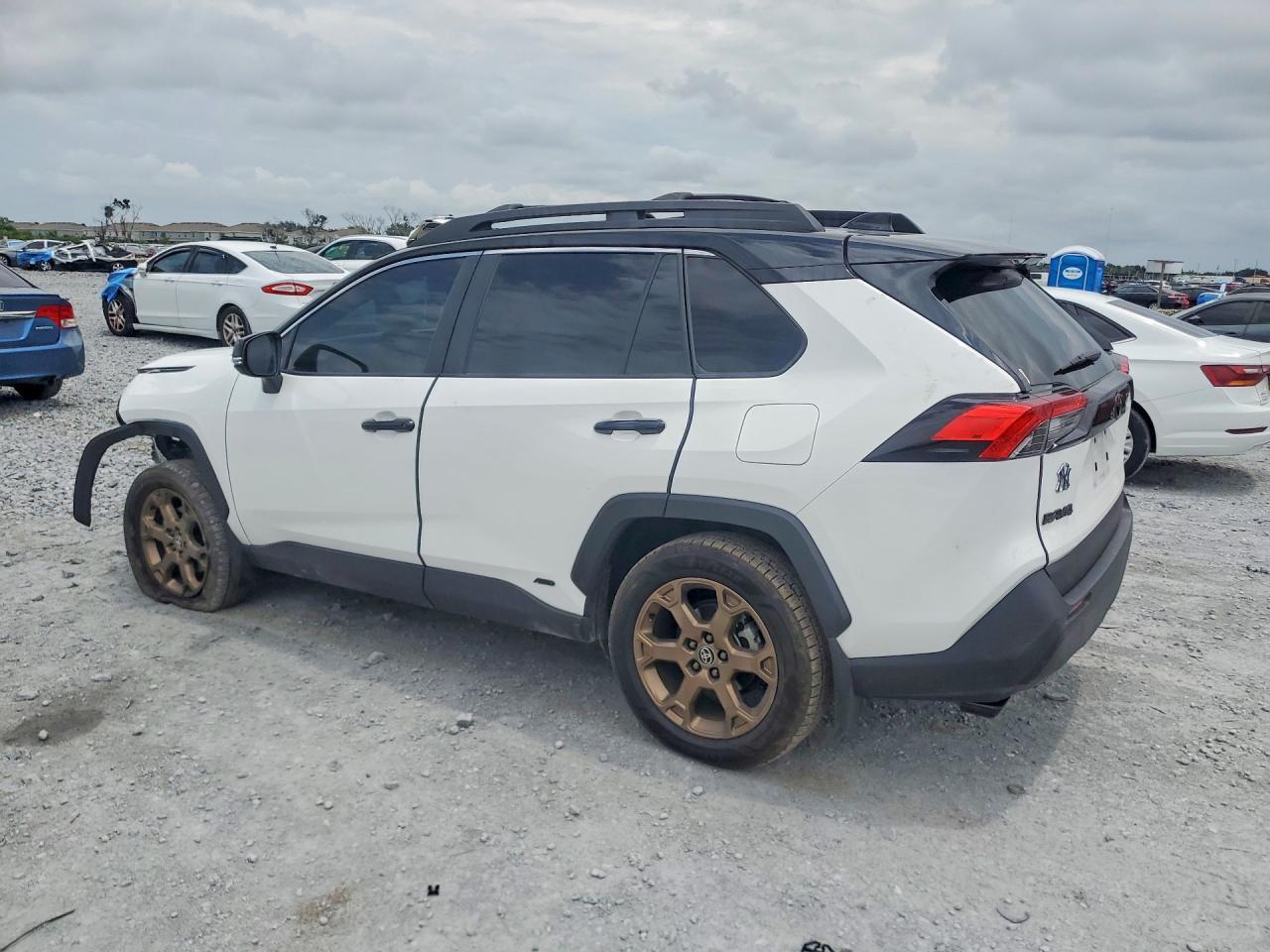 2025 Toyota Rav4 Woodland Edition - Фото 2