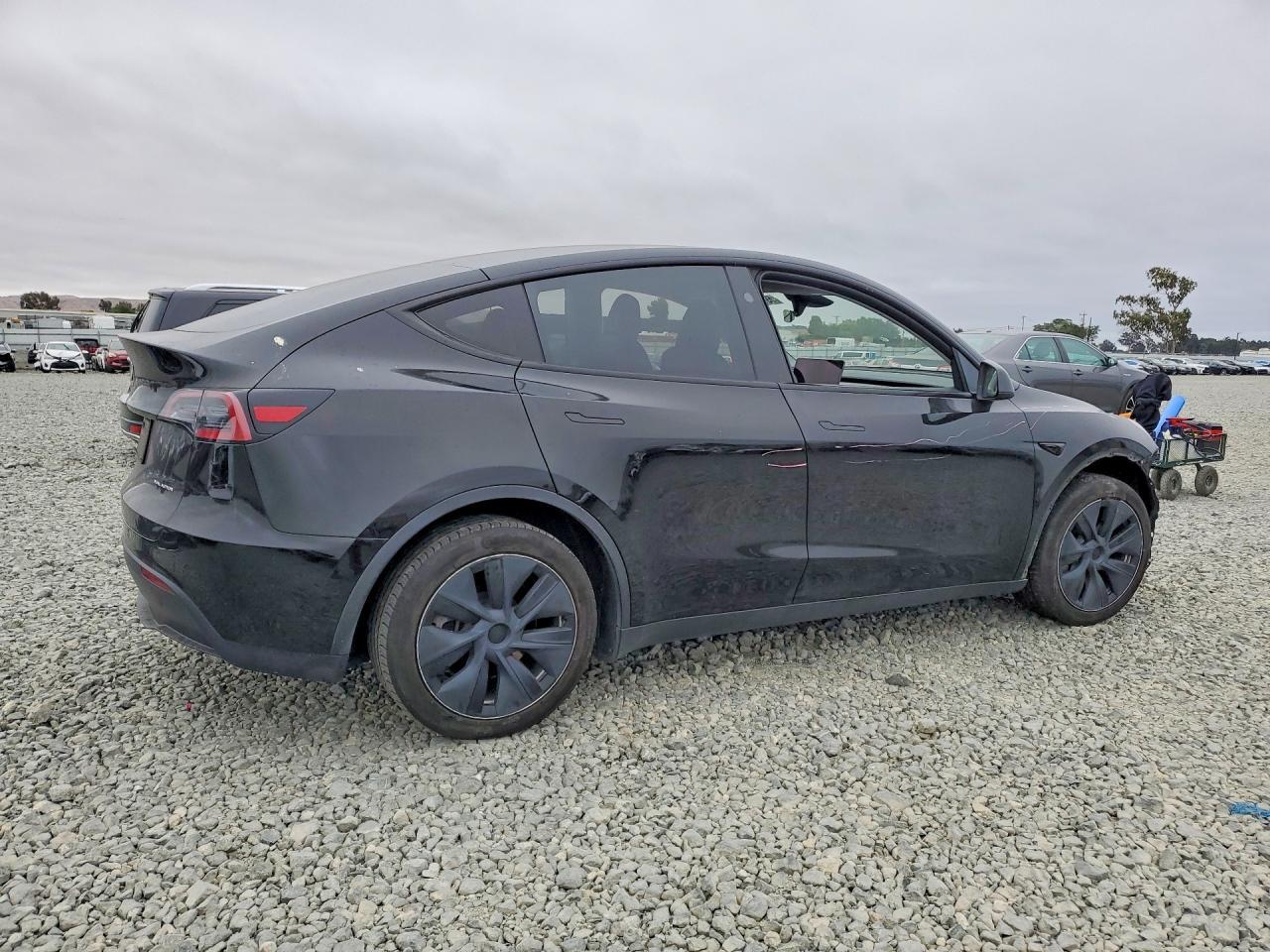 2023 Tesla Model Y - Фото 3