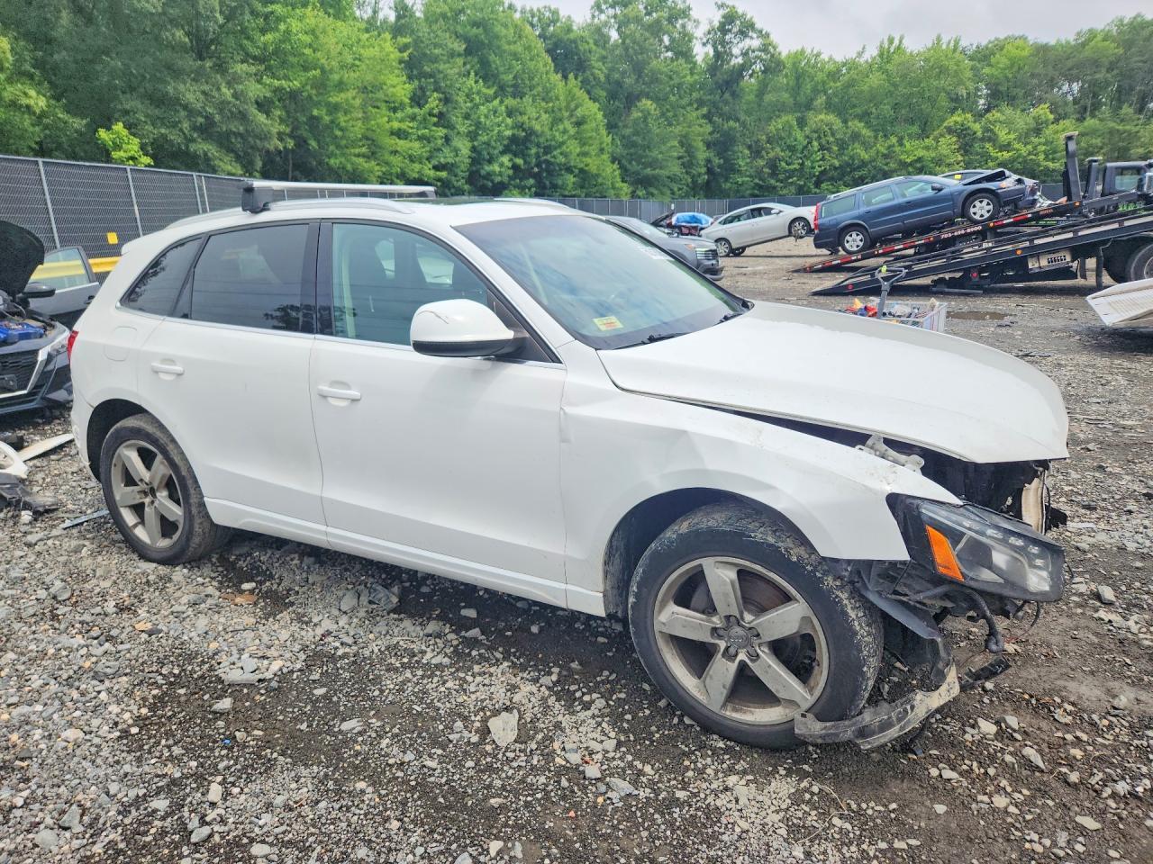 2010 Audi Q5 Premium Plus - Фото 4
