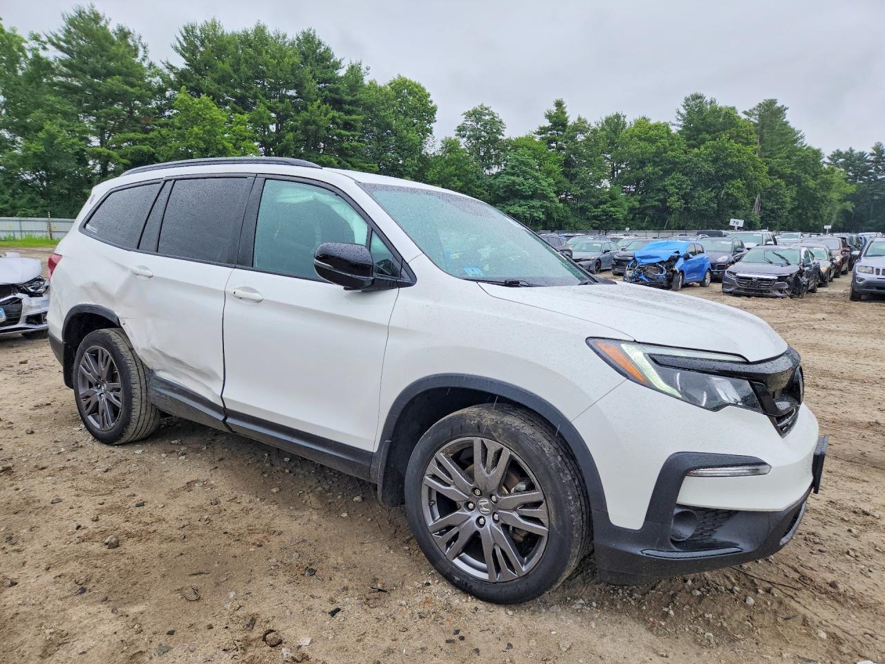 2022 Honda Pilot Sport - Image 4