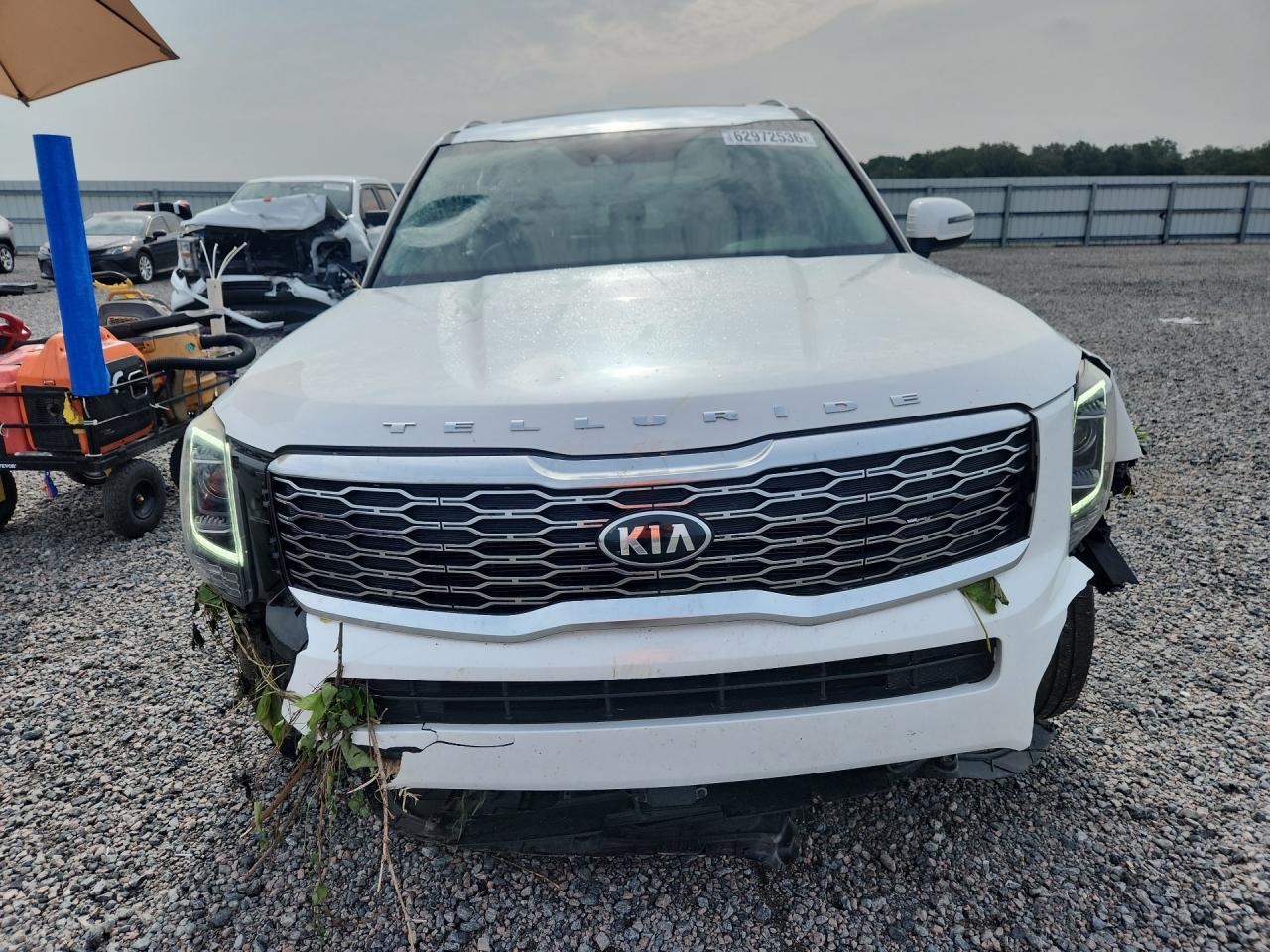 2020 Kia Telluride Ex - Фото 5