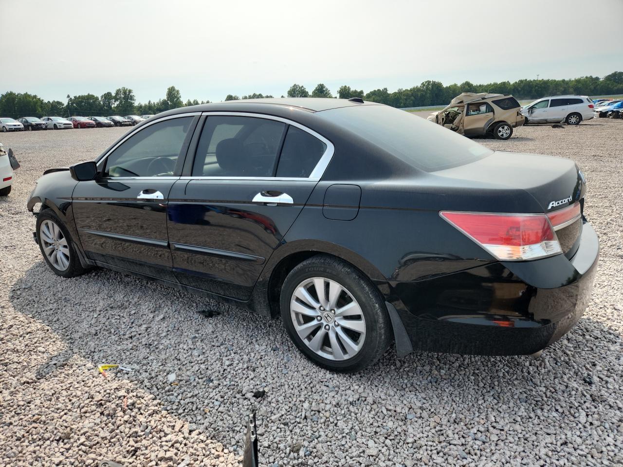 2011 Honda Accord Exl - Image 2