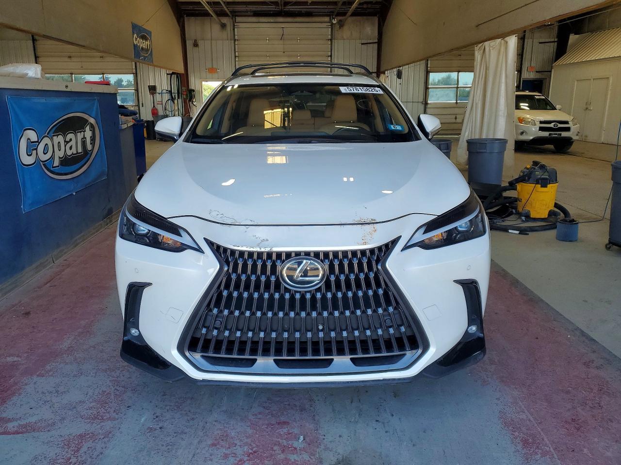 2024 Lexus Nx 350 Premium - Image 5