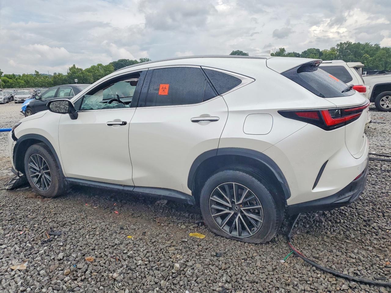 2023 Lexus Nx 350 - Фото 2