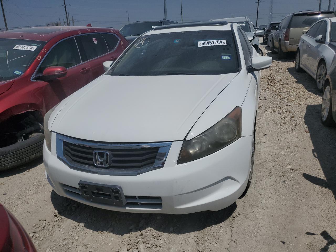 2008 Honda Accord Exl - Фото 5