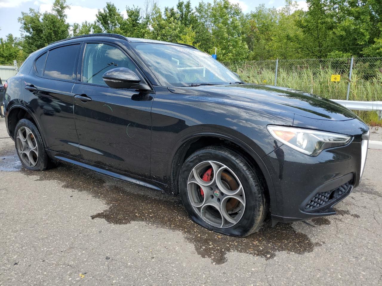 2020 Alfa Romeo Stelvio - Фото 4