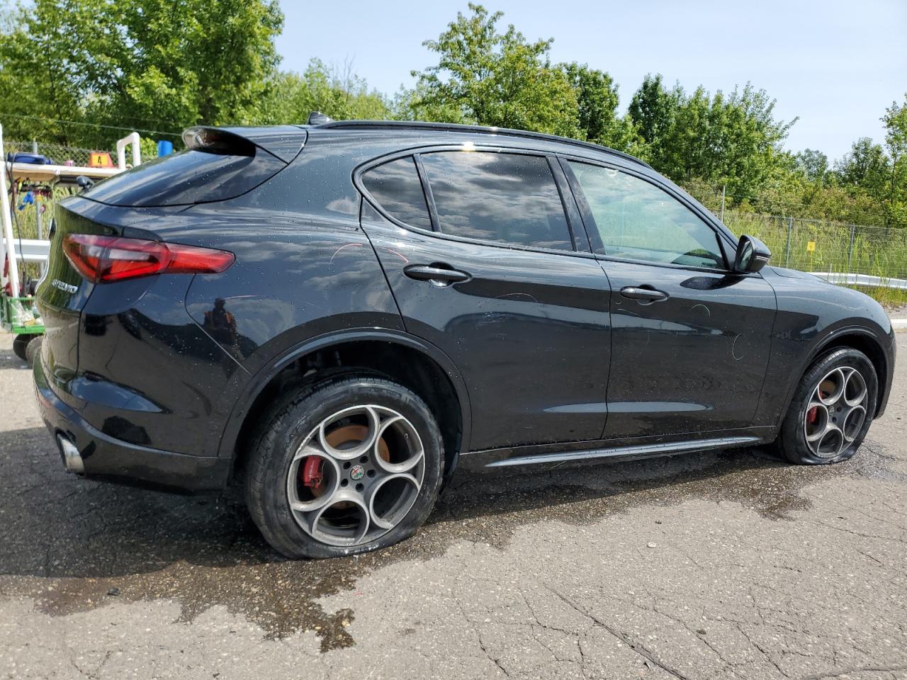 2020 Alfa Romeo Stelvio - Фото 3
