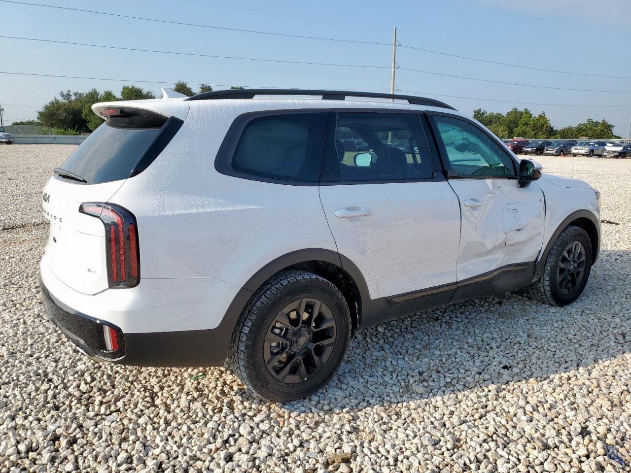 2025 Kia Telluride Sx - Фото 3