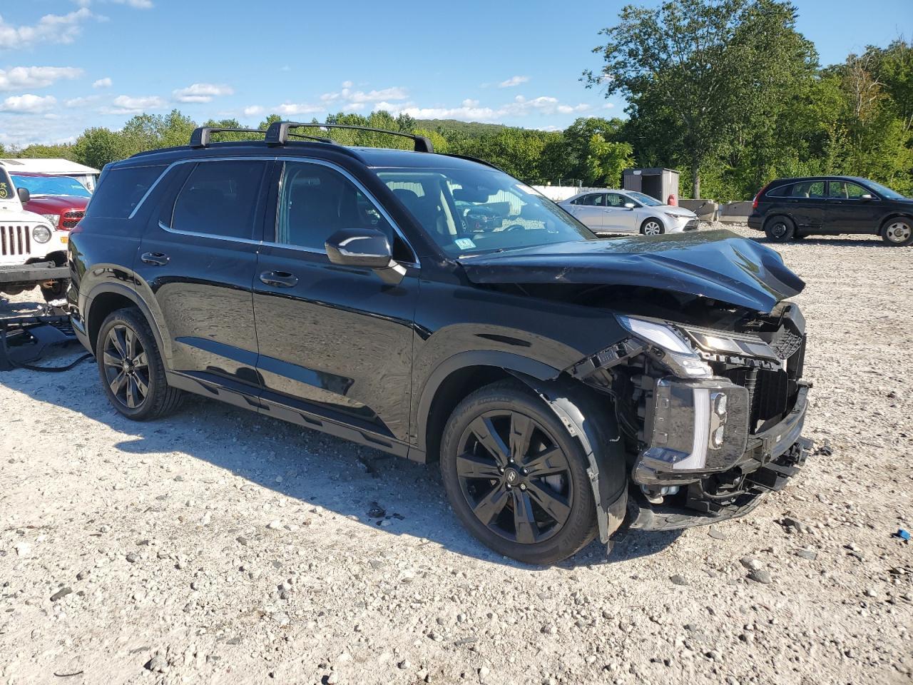 2023 Hyundai Palisade Xrt - Фото 4
