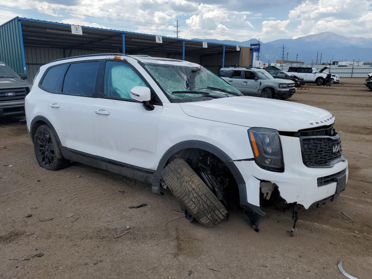 2022 Kia Telluride Sx - Фото 4