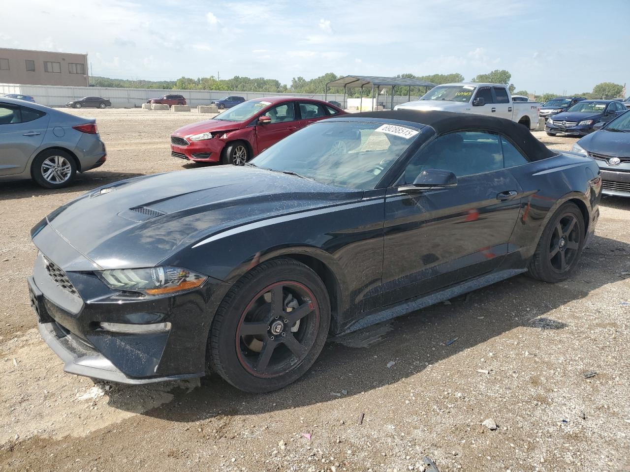 2019 Ford Mustang
