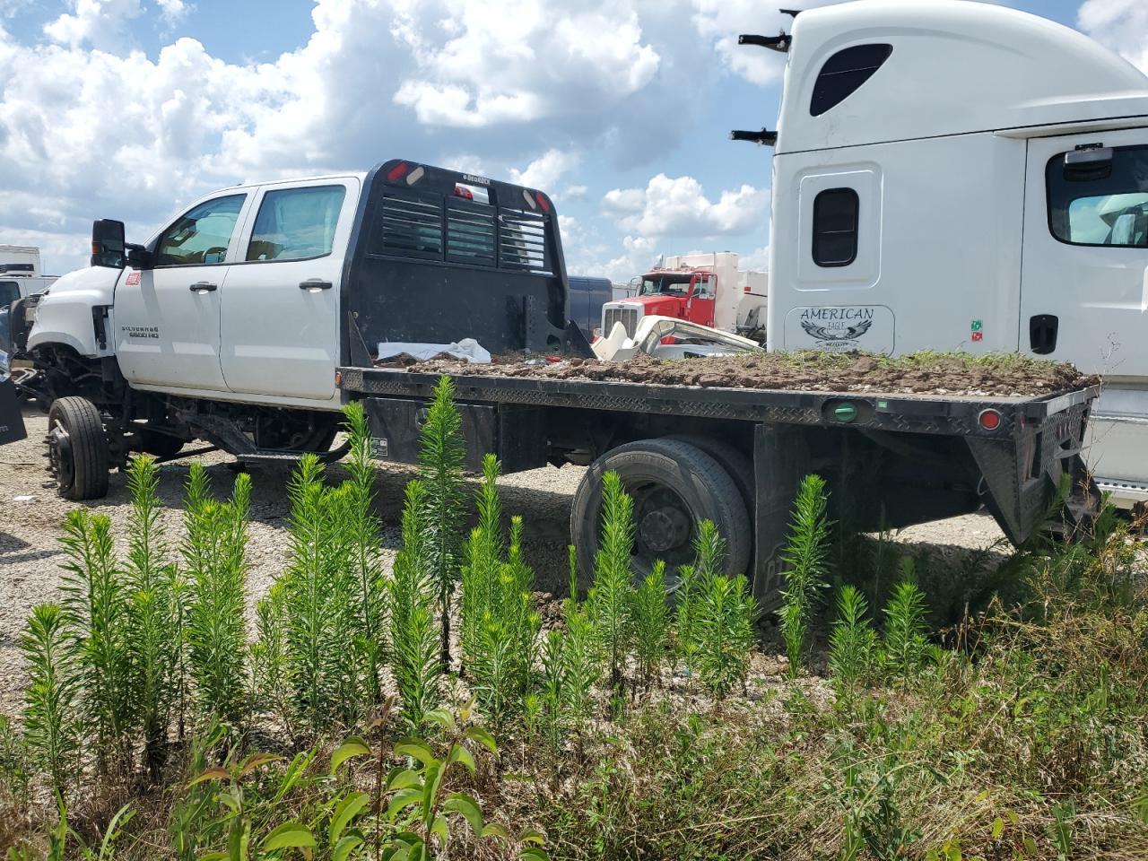 2022 Chevrolet Silverado Medium Duty - Фото 2