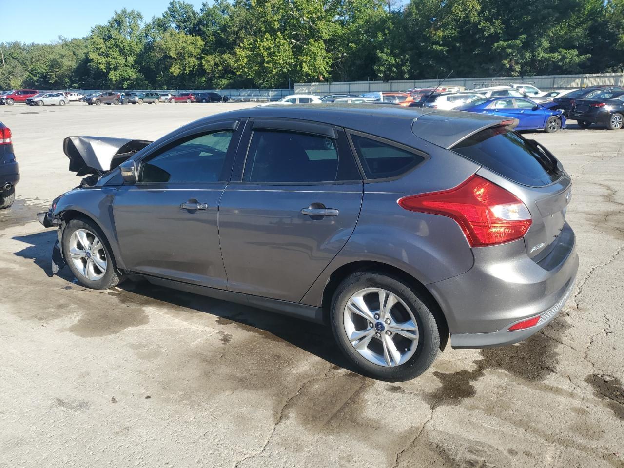 2014 Ford Focus Se - Фото 2