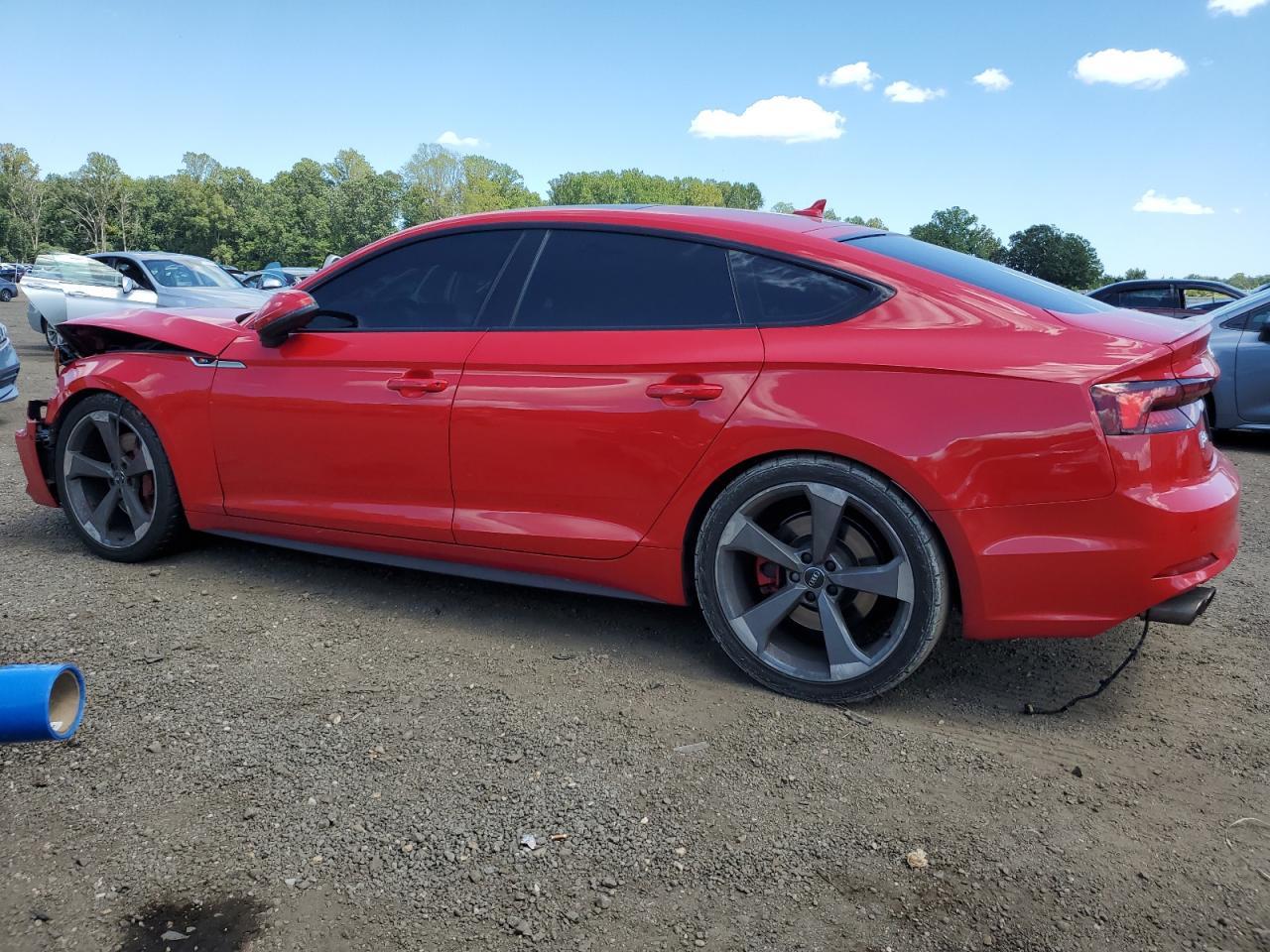 2019 Audi S5 Prestige - Фото 2