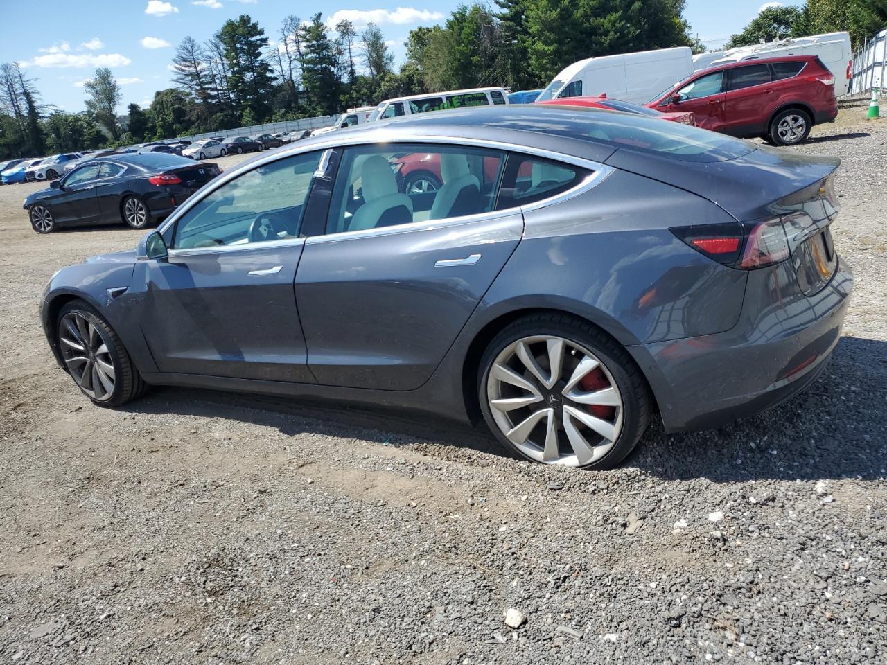 2019 Tesla Model 3 - Фото 2