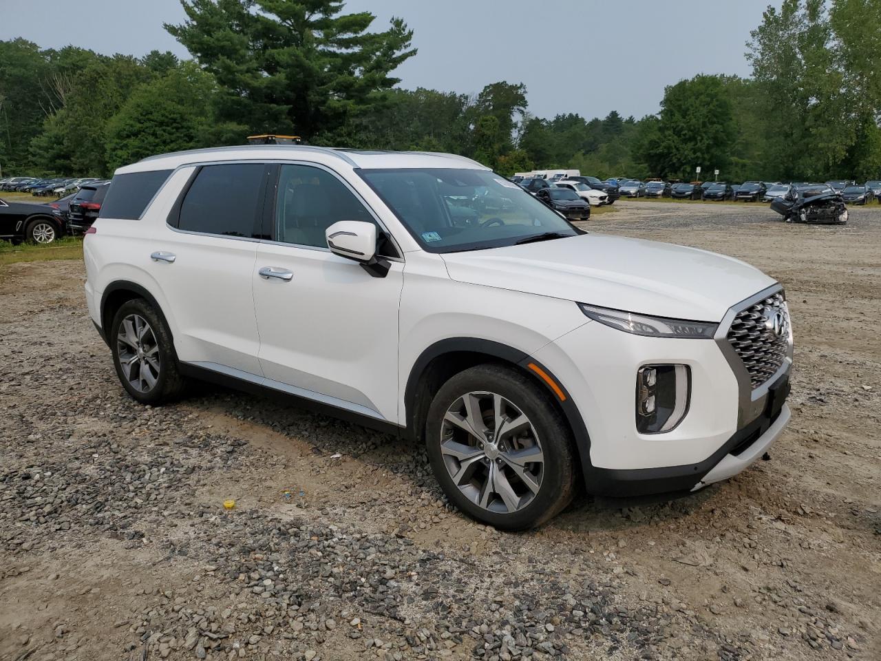 2022 Hyundai Palisade Sel - Image 4