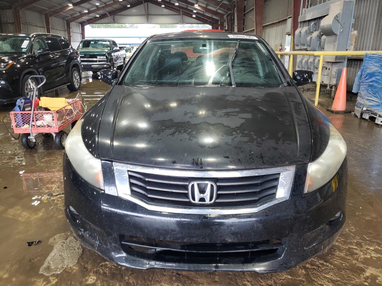 2010 Honda Accord Exl - Image 5