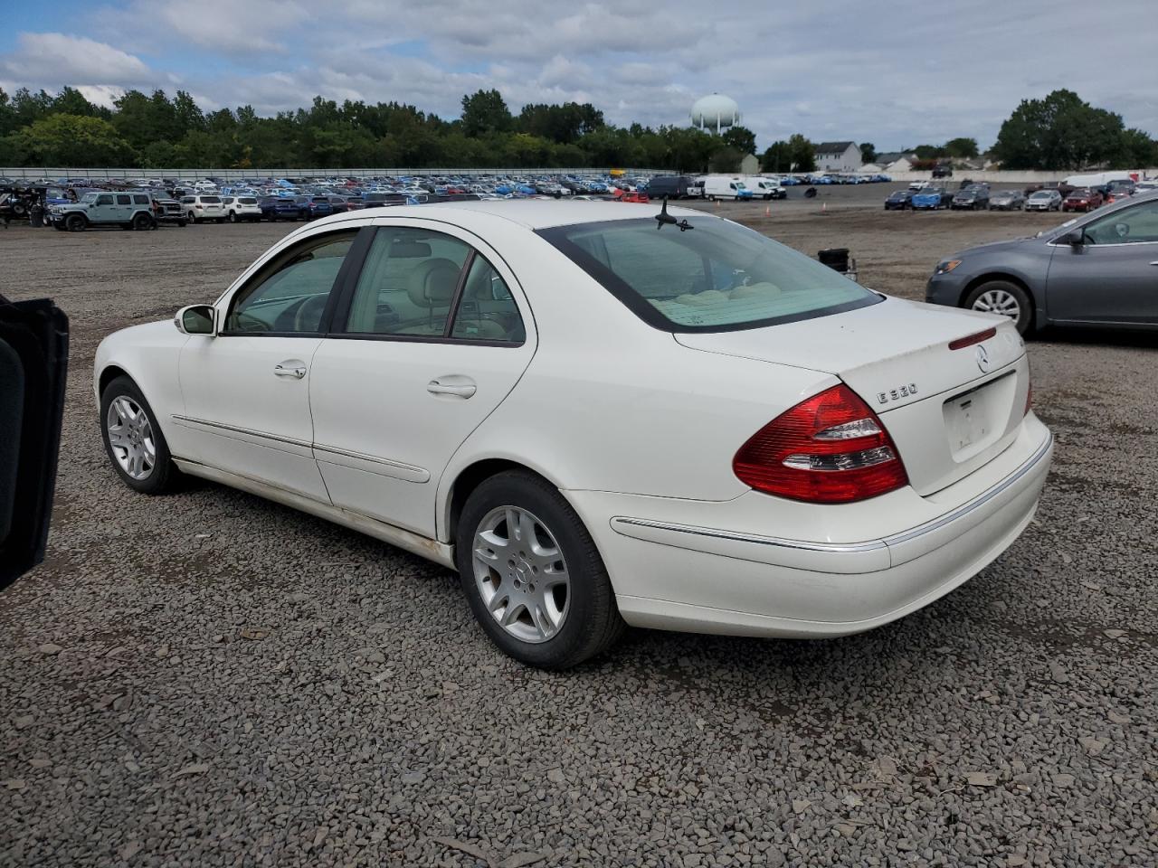 2005 Mercedes-Benz E 320 Cdi - Фото 2