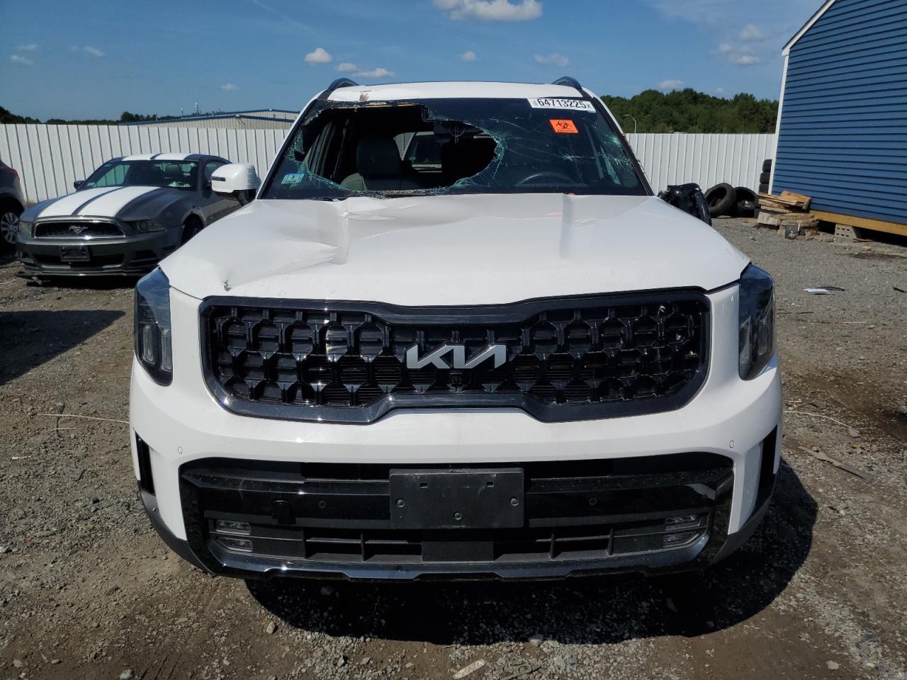 2024 Kia Telluride Sx - Image 5