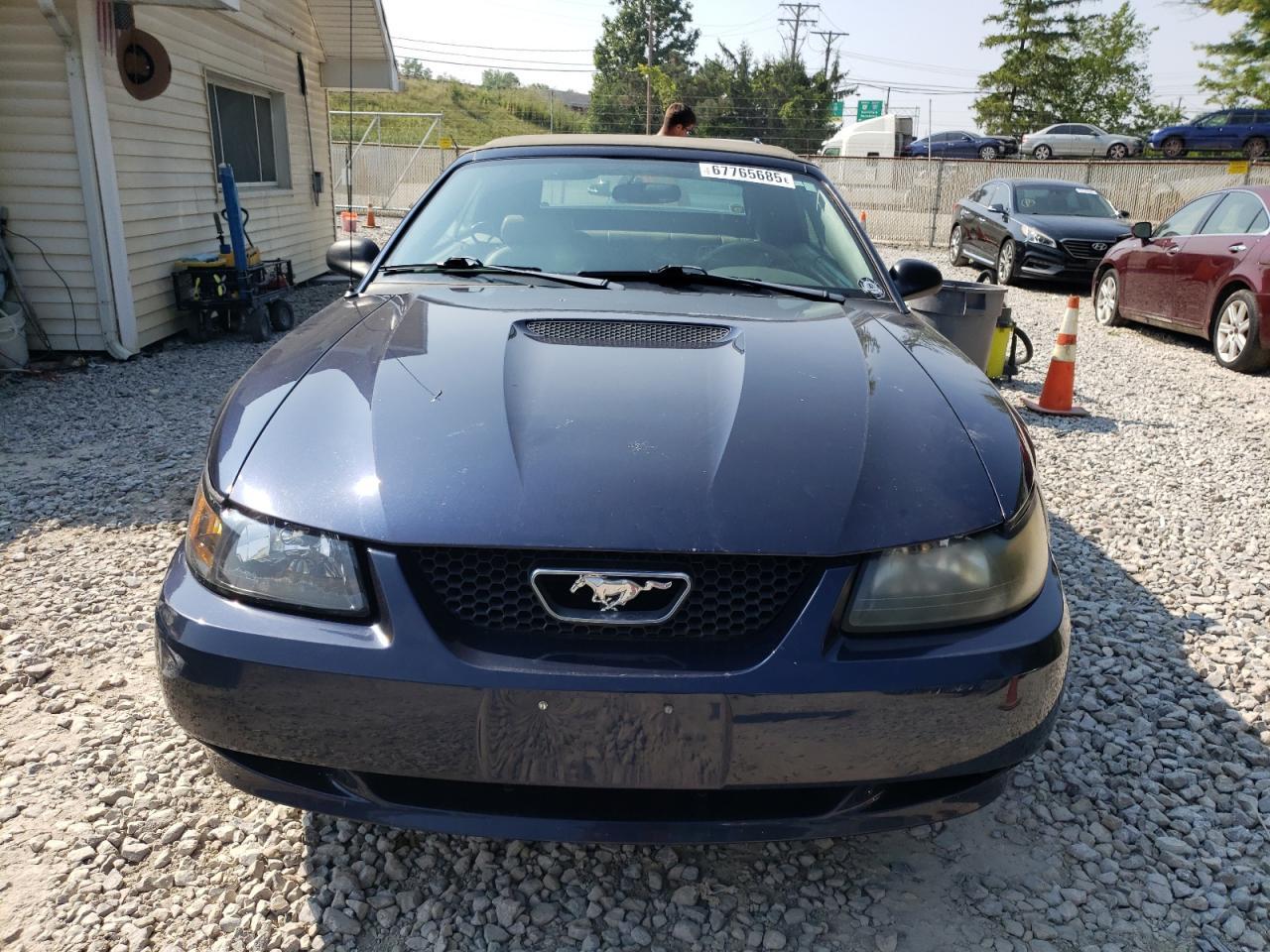 2001 Ford Mustang - Фото 5