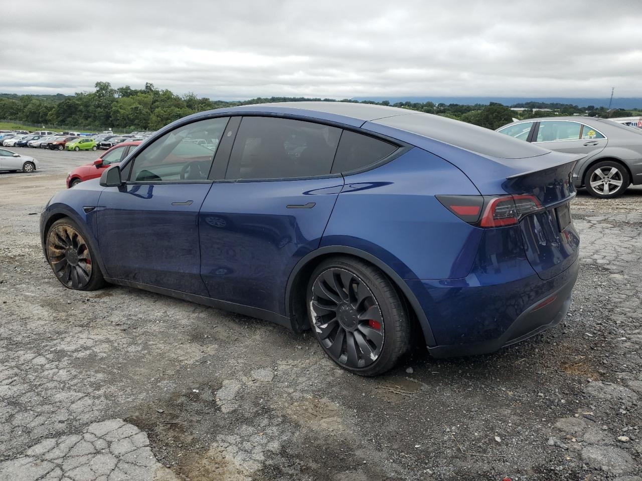 2023 Tesla Model Y - Фото 2