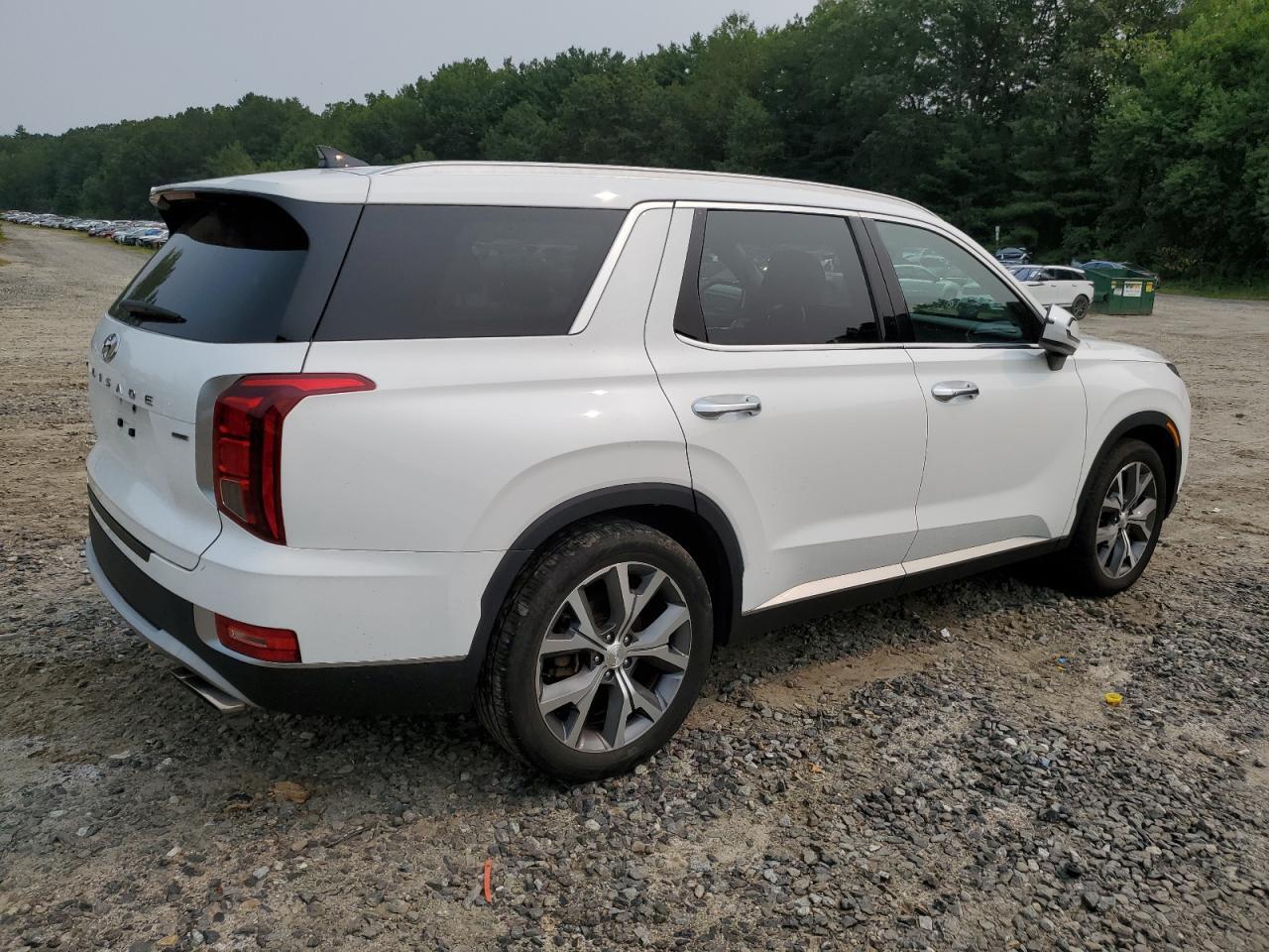 2022 Hyundai Palisade Sel - Image 3