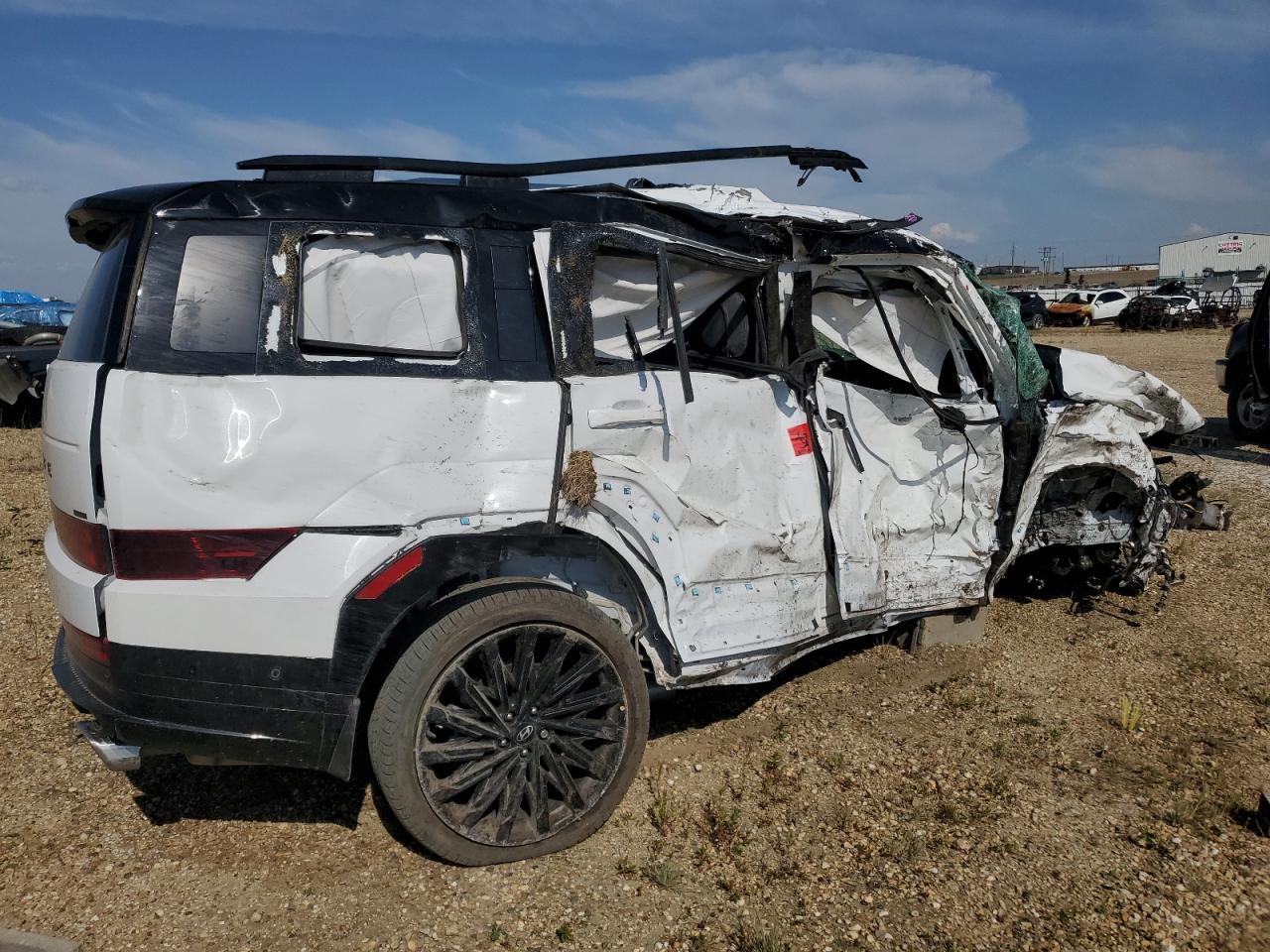 2025 Hyundai Santa Fe Calligraphy - Фото 3