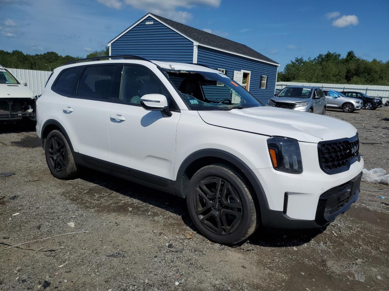 2024 Kia Telluride Sx - Image 4
