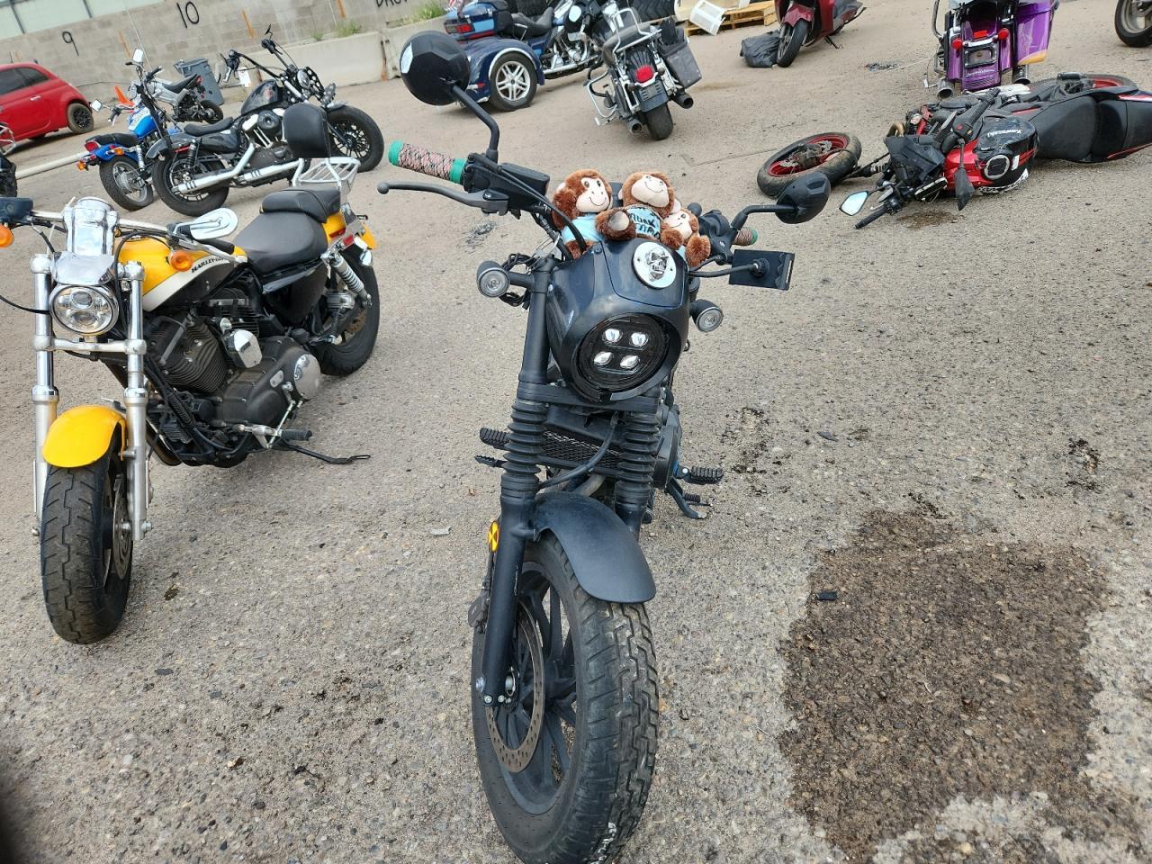 2024 Honda Cmx500 - Image 2