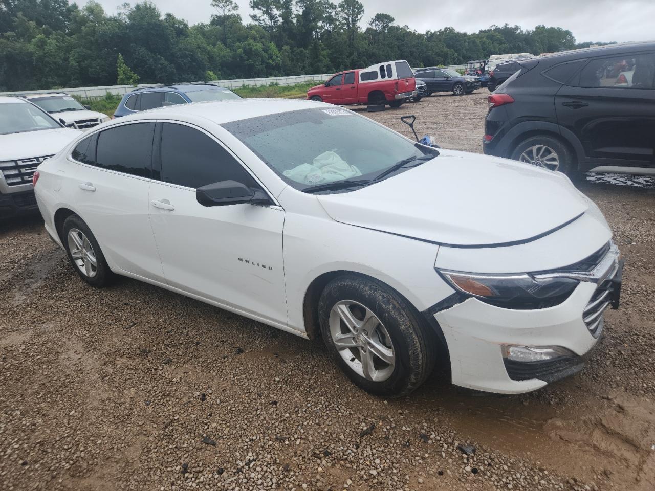 2019 Chevrolet Malibu Ls - Фото 4