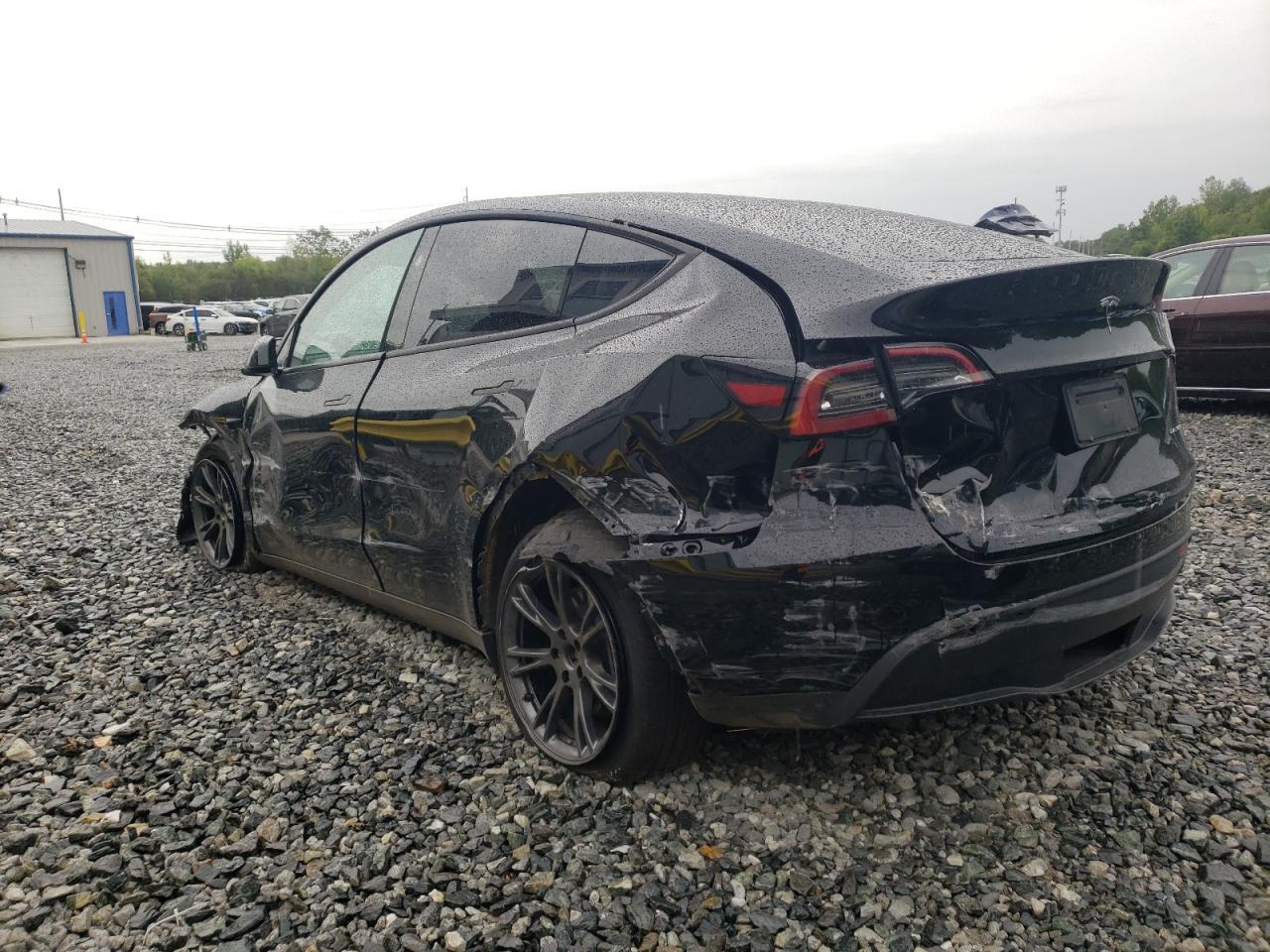 2025 Tesla Model Y - Фото 2