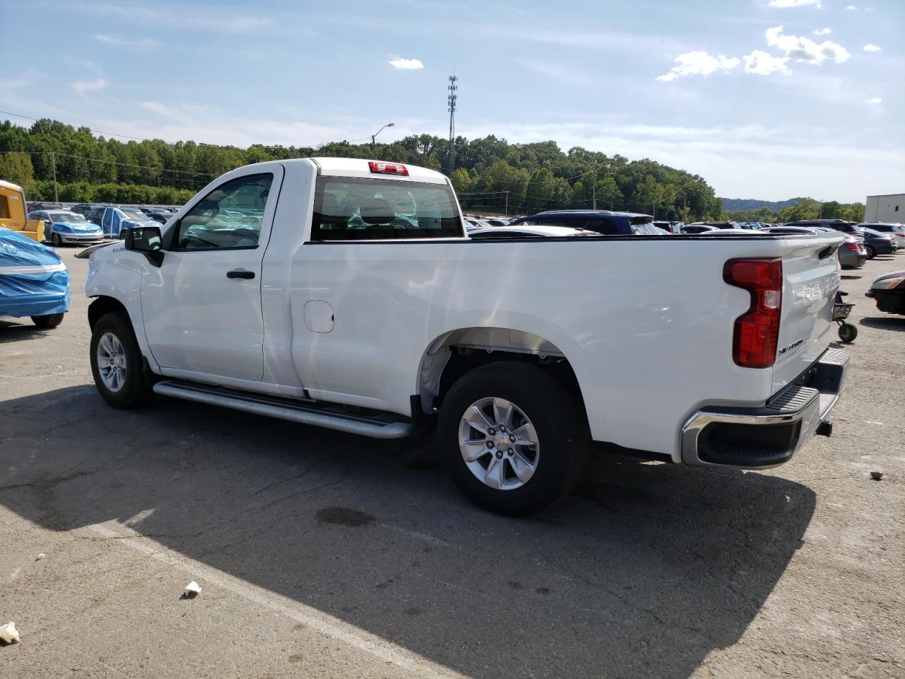 2024 Chevrolet Silverado C1500 - Фото 2
