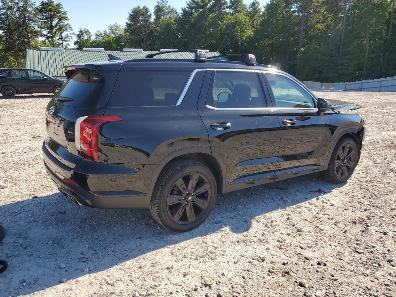 2023 Hyundai Palisade Xrt - Фото 3