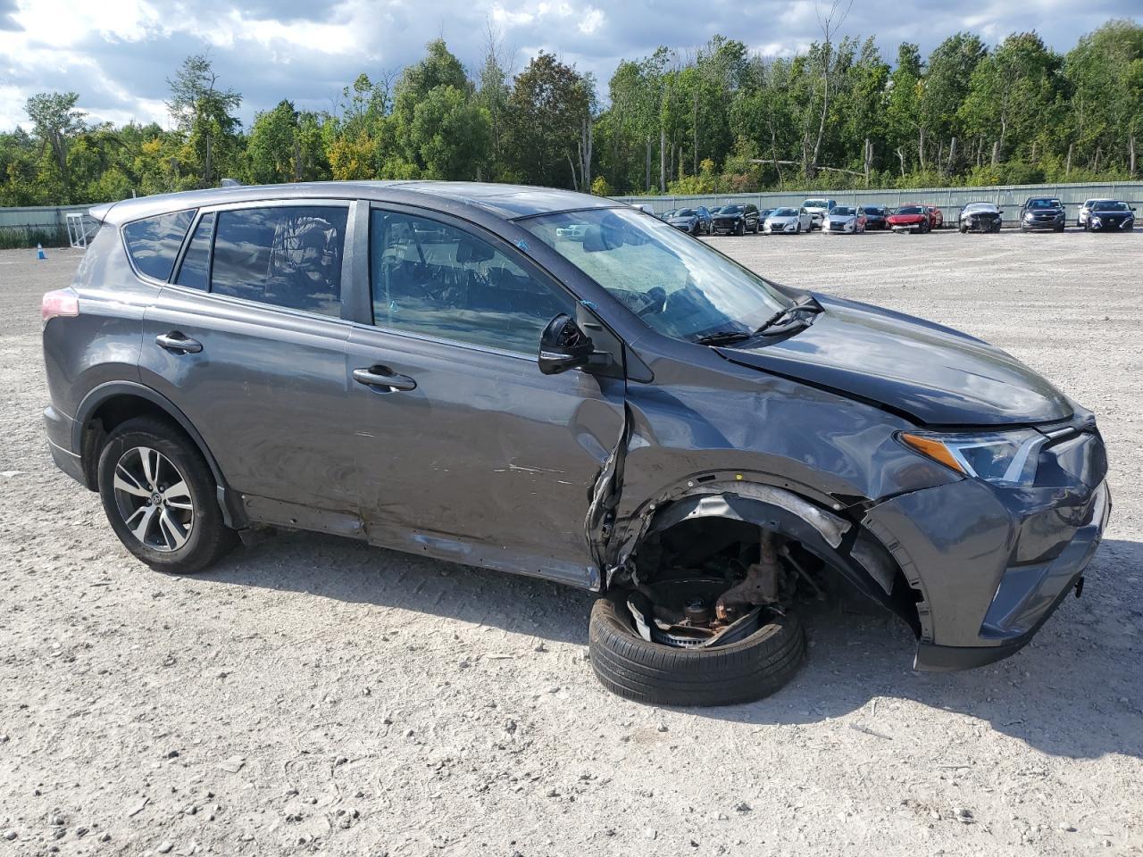 2018 Toyota Rav4 Adventure - Фото 4