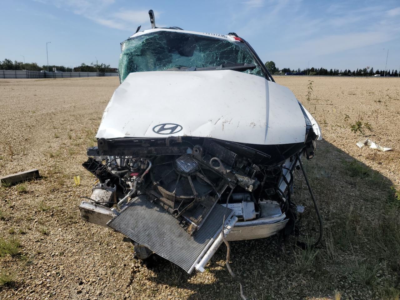 2025 Hyundai Santa Fe Calligraphy - Фото 5