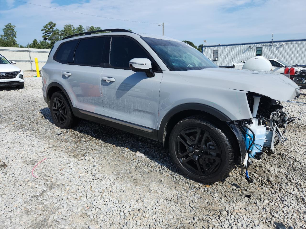 2023 Kia Telluride Sx - Фото 4