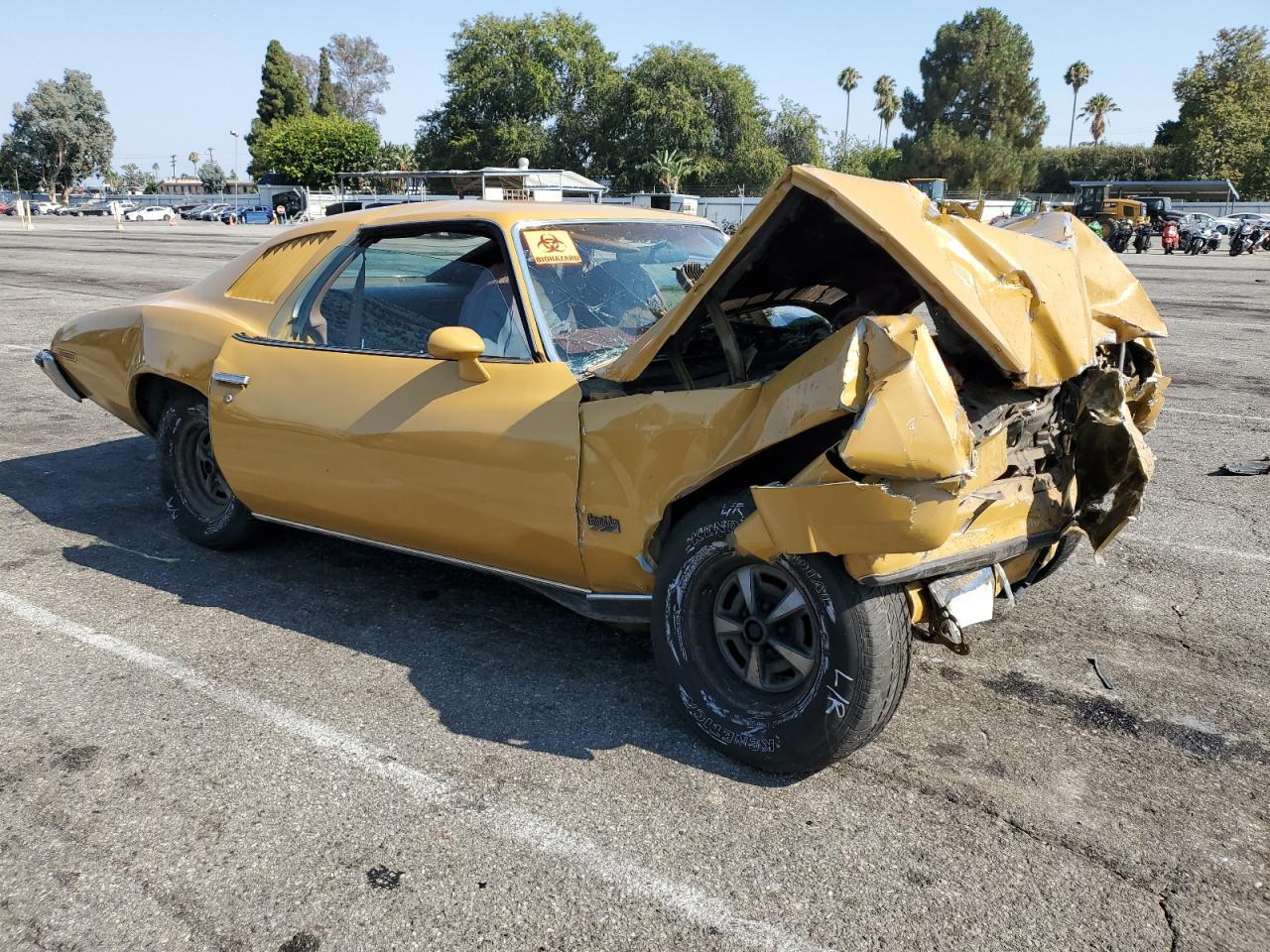 1973 Pontiac Grand Am - Фото 4