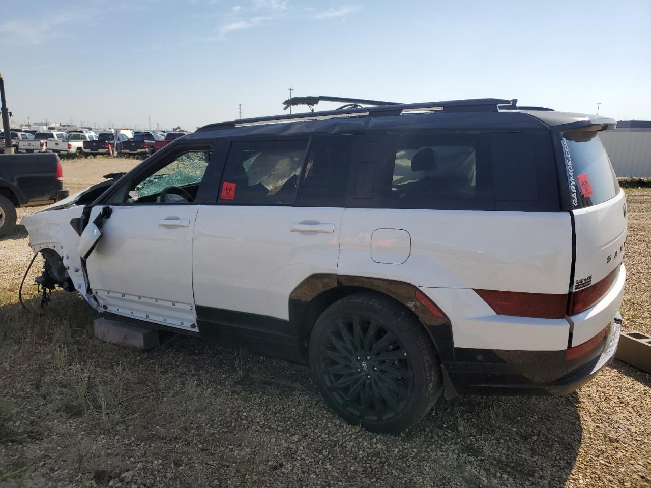 2025 Hyundai Santa Fe Calligraphy - Фото 2