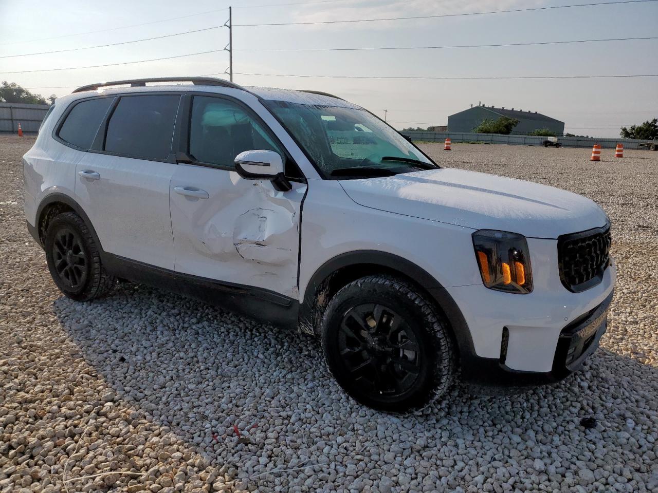 2025 Kia Telluride Sx - Фото 4