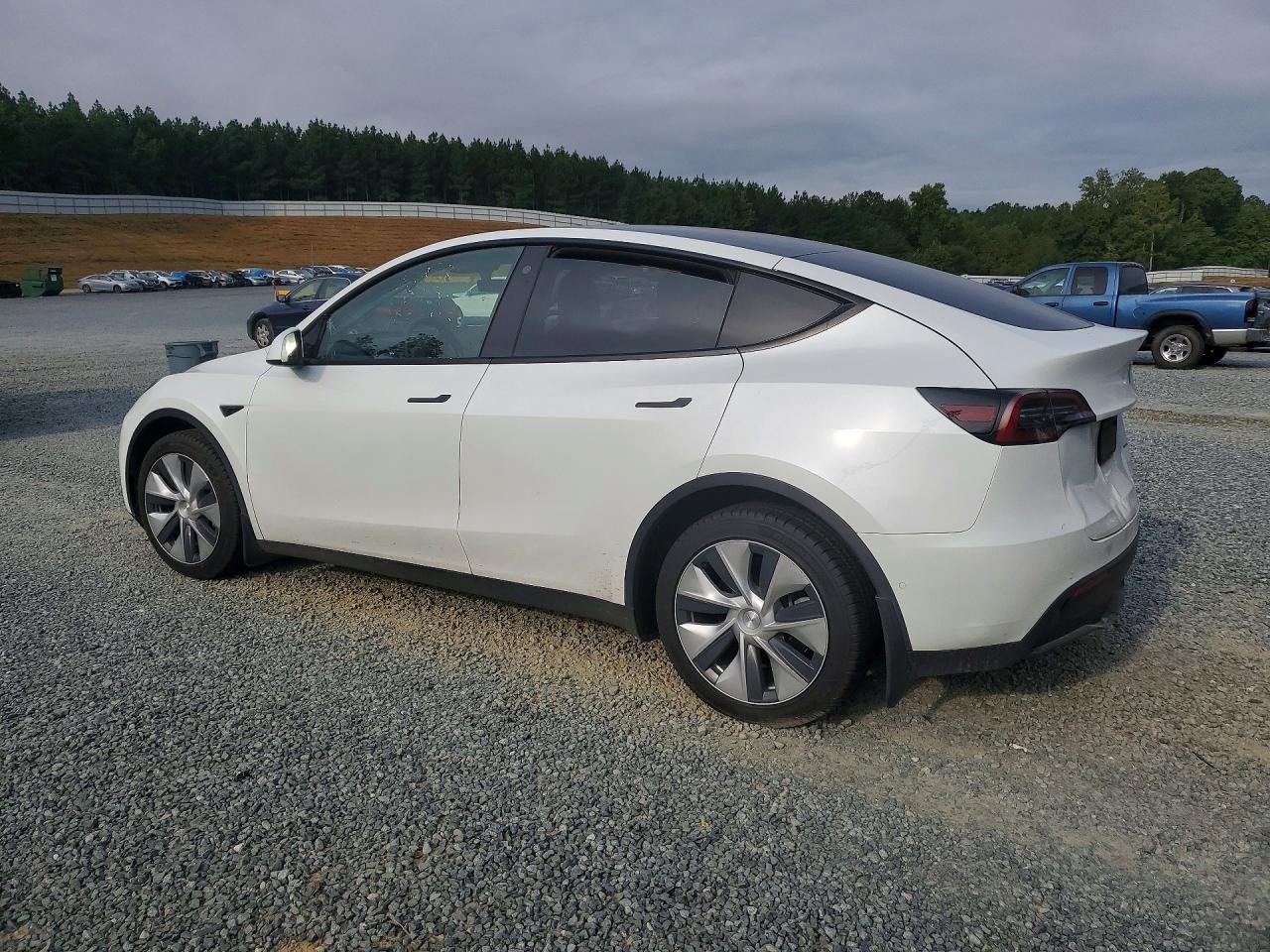 2022 Tesla Model Y - Фото 2