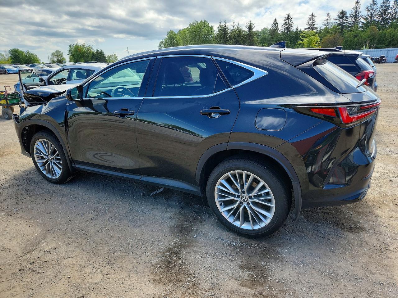 2025 Lexus Nx 350 Premium - Image 2
