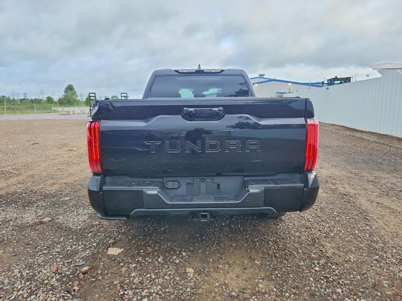 2024 Toyota Tundra Platinum - Фото 6