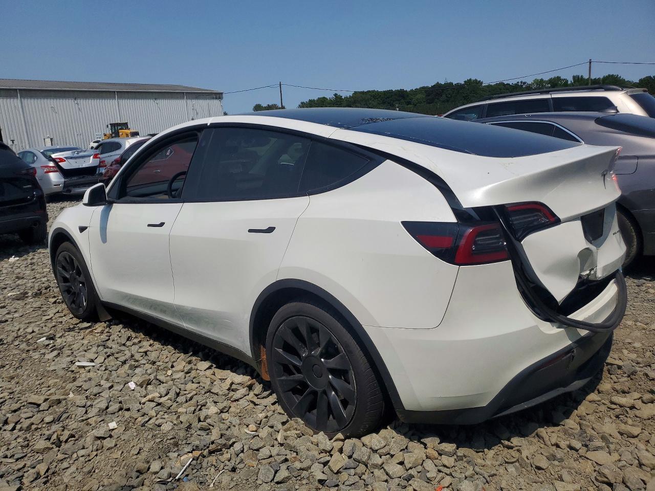 2023 Tesla Model Y - Фото 2