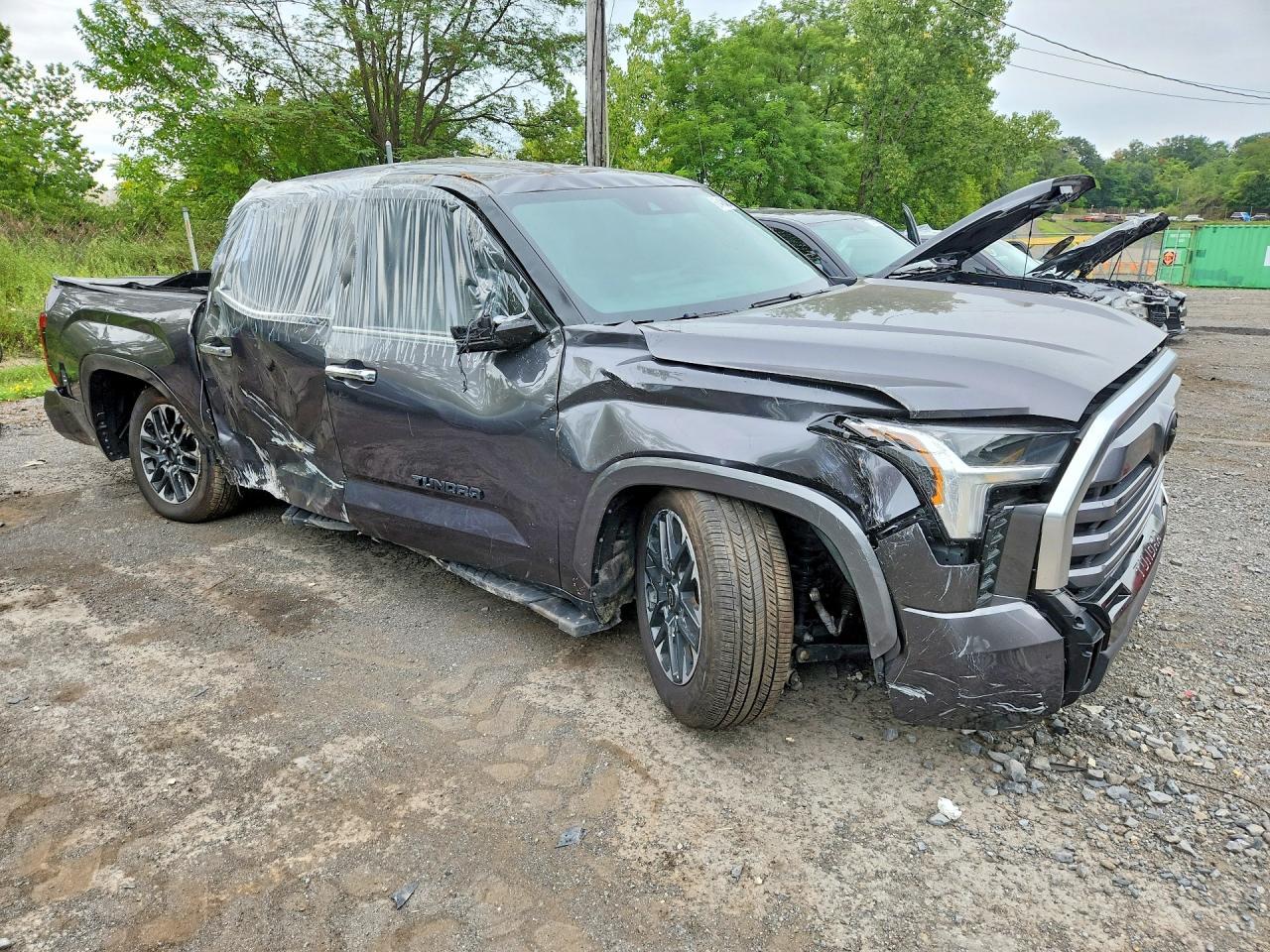 2025 Toyota Tundra Crewmax Limited - Фото 4