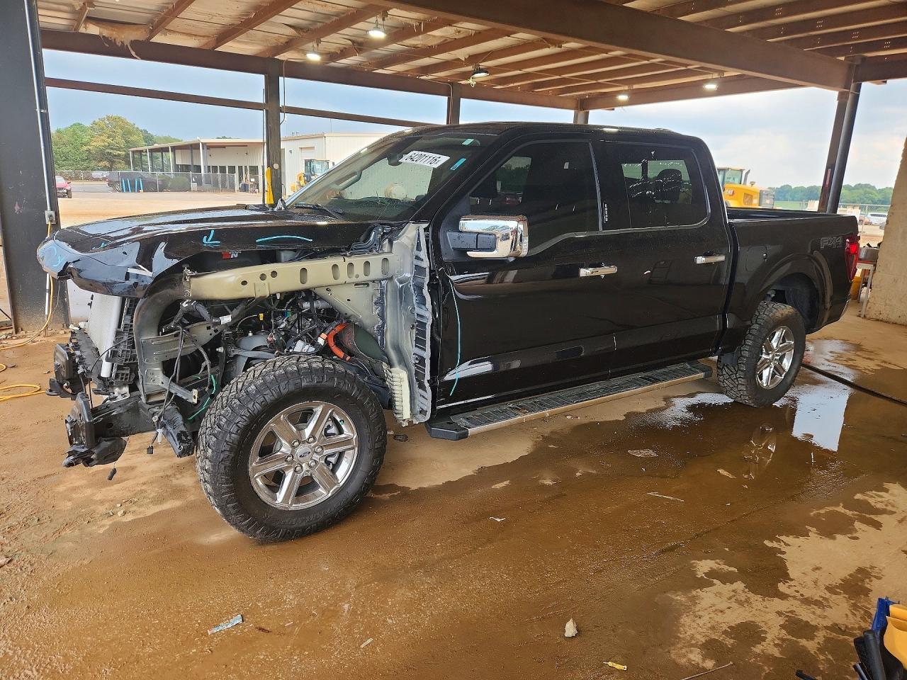 2024 Ford F150 Xlt