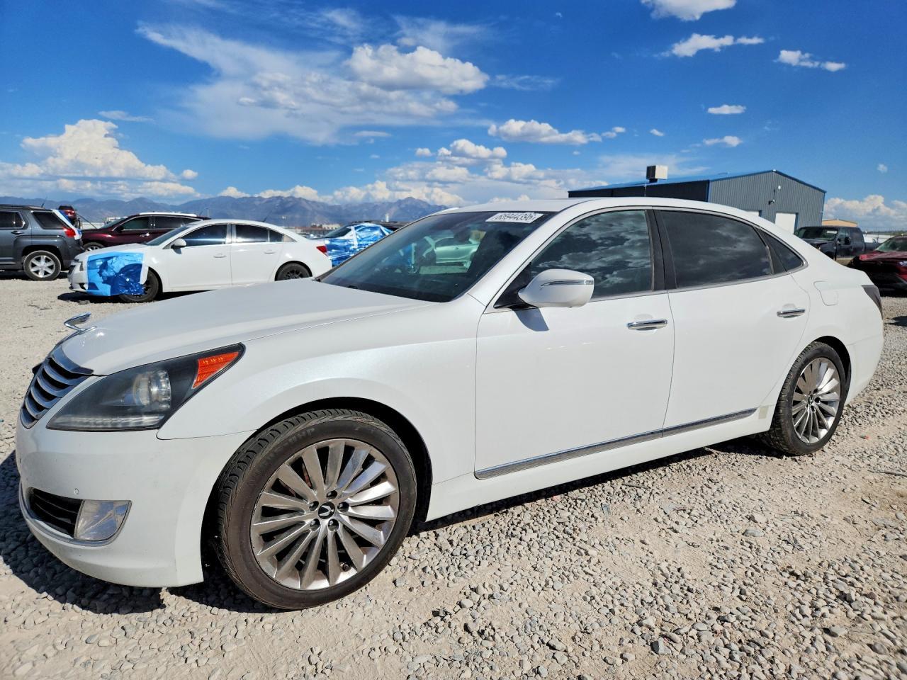 2014 Hyundai Equus Gls (Middle Level)