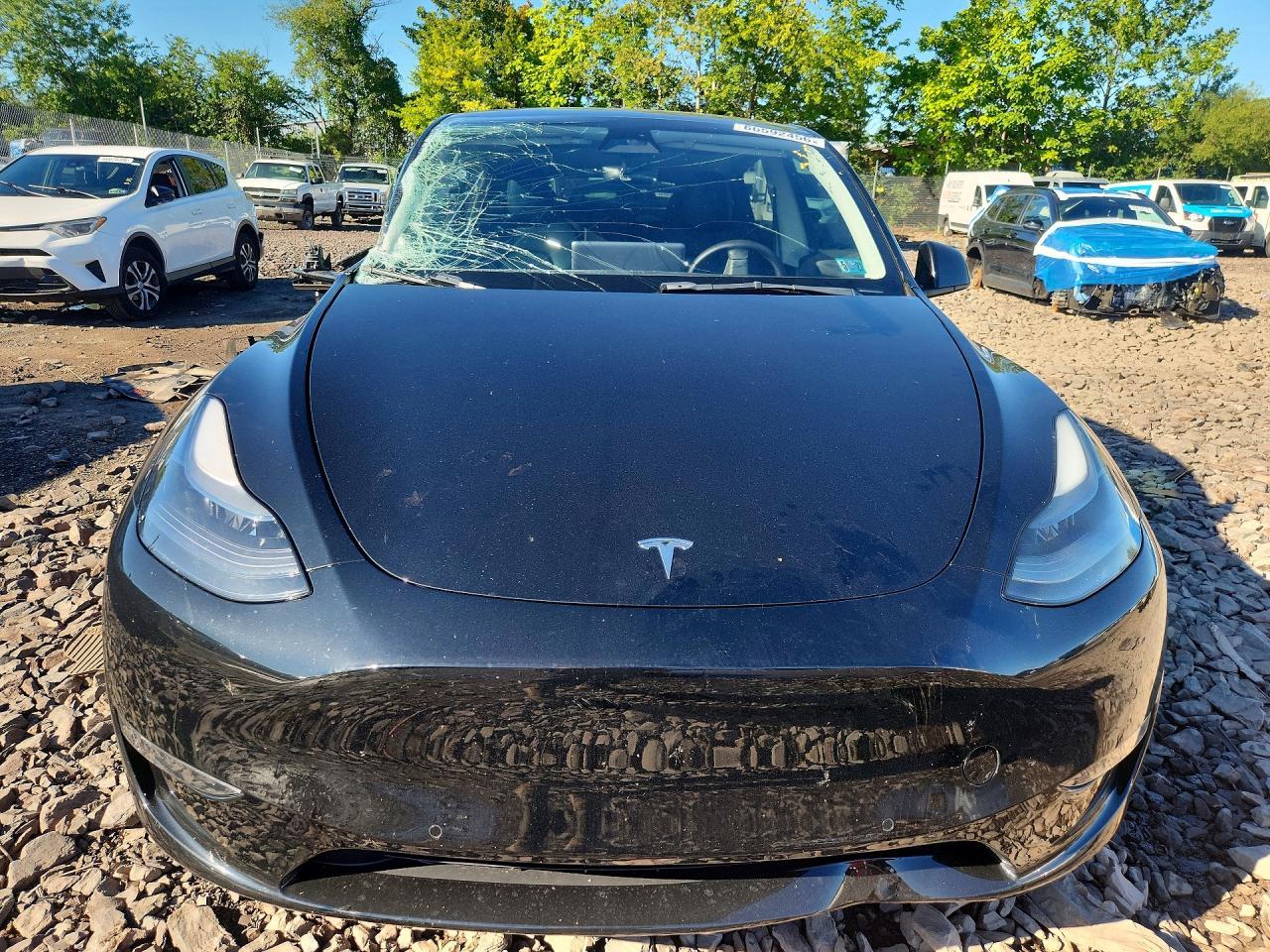 2022 Tesla Model Y - Фото 5