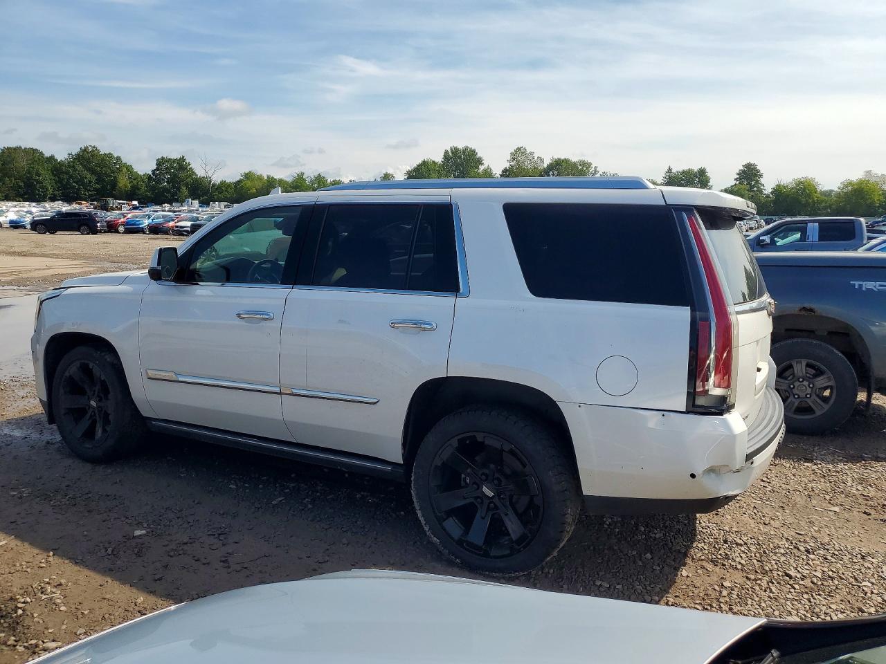 2018 Cadillac Escalade Platinum - Фото 2