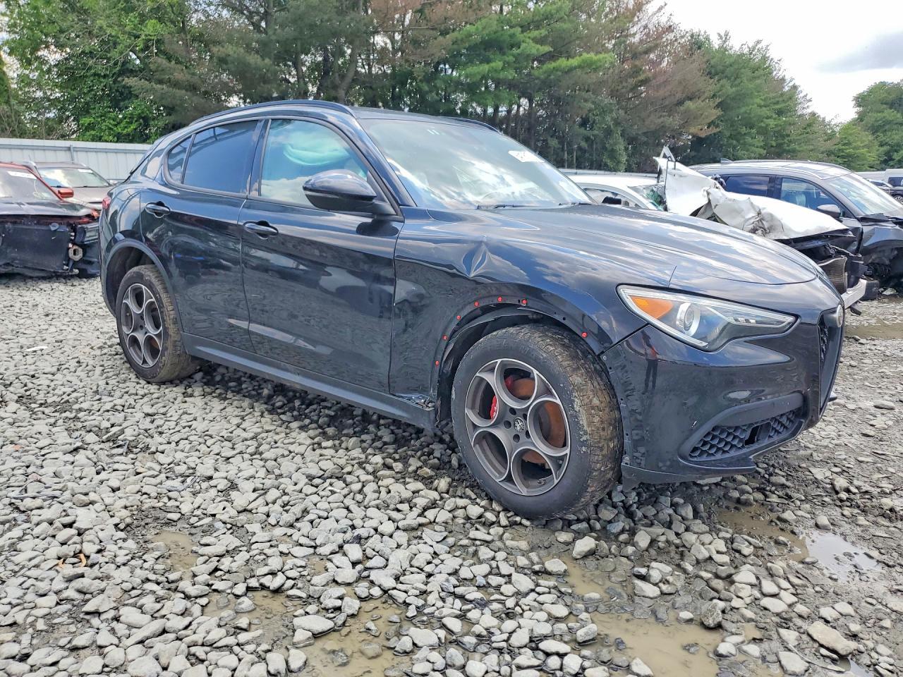 2022 Alfa Romeo Stelvio - Фото 4
